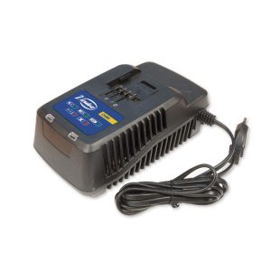 caricabatteria rapida